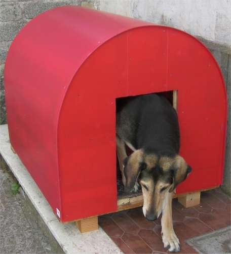 ESPANDI cuccia con cane
