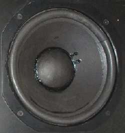 woofer in cassa