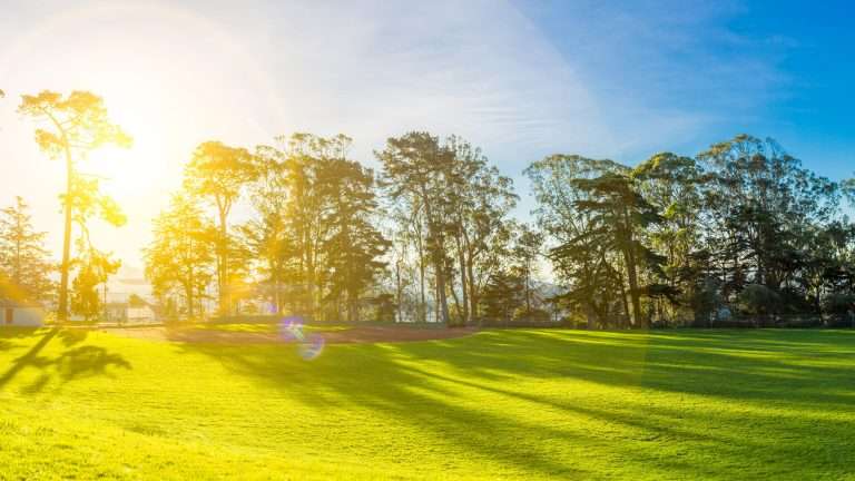 Mantenimento di un tappeto erboso
