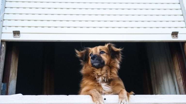 Apertura a vasistas di un avvolgibile
