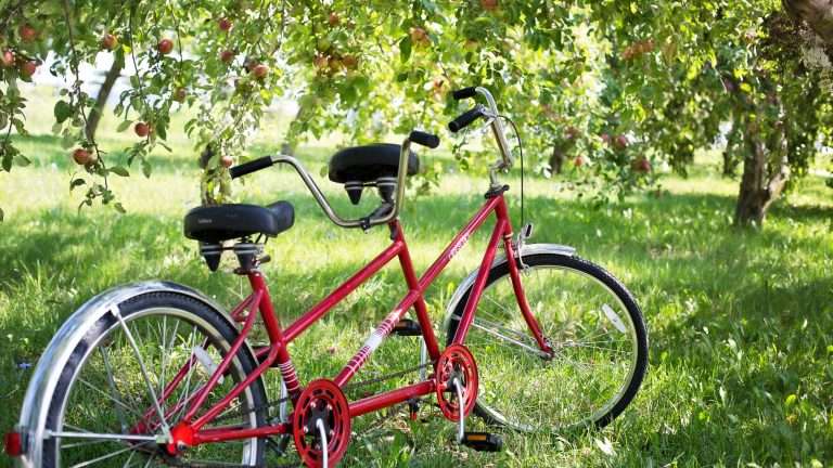 Una bicicletta per due