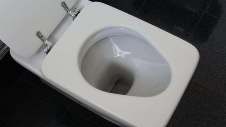 Rimedi all'ostruzione del water