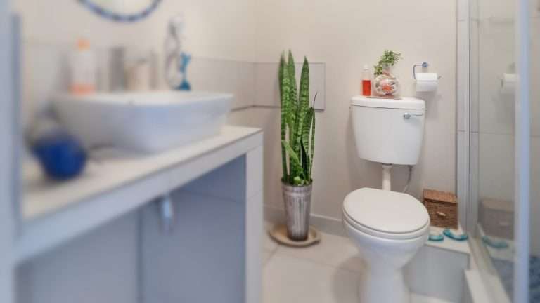 Rumore d'acqua nel catis