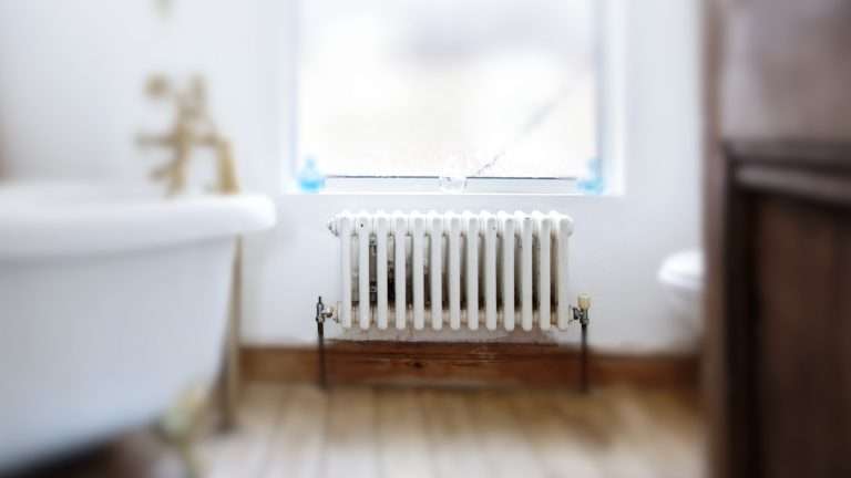 Valvola e detentore per termosifoni