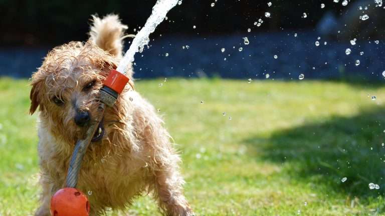 Come funziona il press control