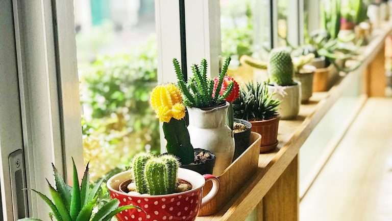 Guarnizioni per porte e finestre