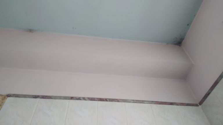 Eliminare muffa da soffitti e pareti