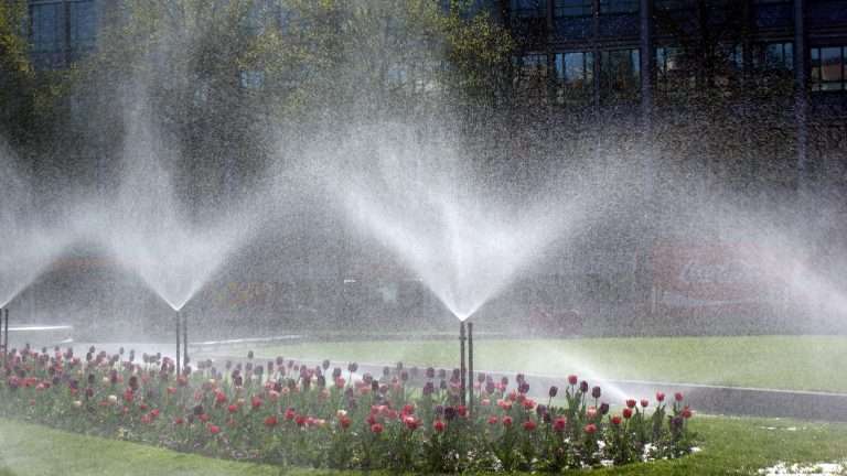 Scegliere una pompa per l'acqua del pozzo o serbatoio