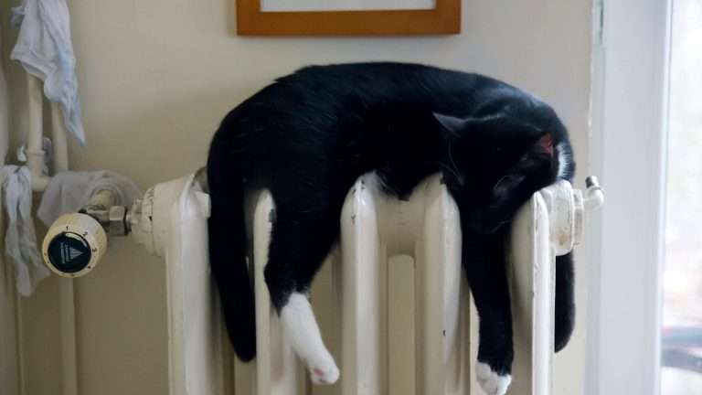 Quando montare un comando termostatico per termosifoni