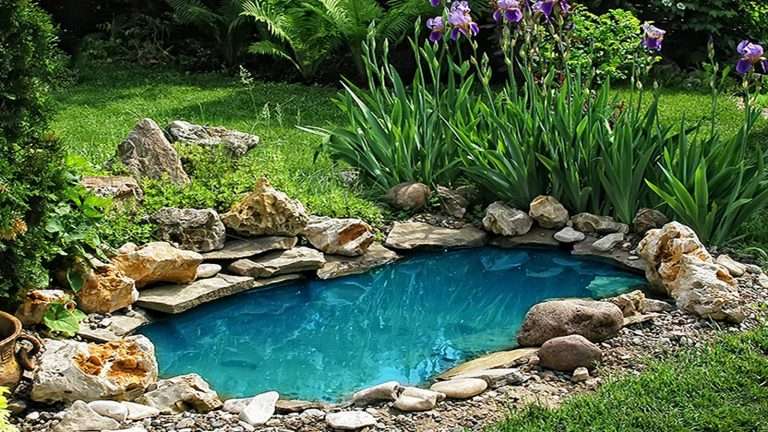 Specchio d'acqua decorativo in giardino: come realizzarlo?