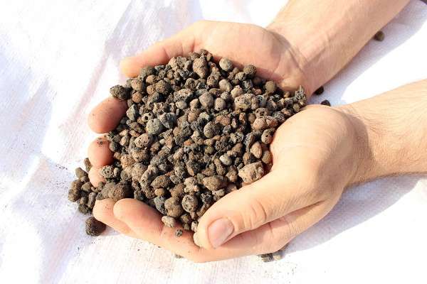 argilla espansa comprare