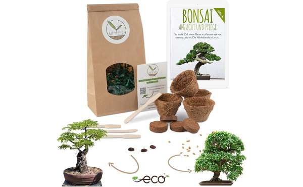 Bonsai Kit