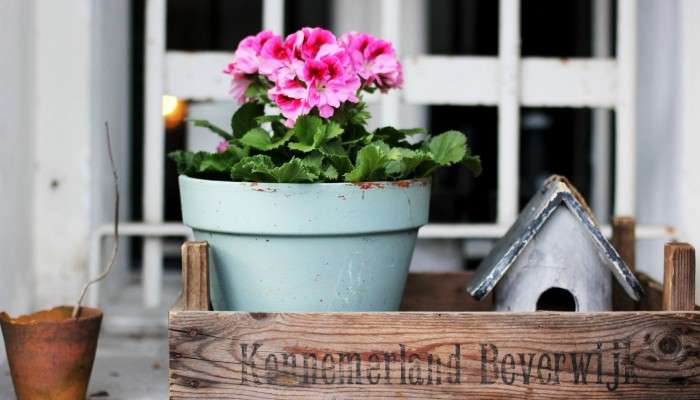 Decorazioni giardino