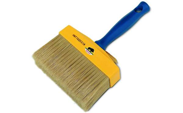 PENNELLESSA PENNELLESSA