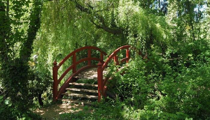 Tipi di giardino e consigli