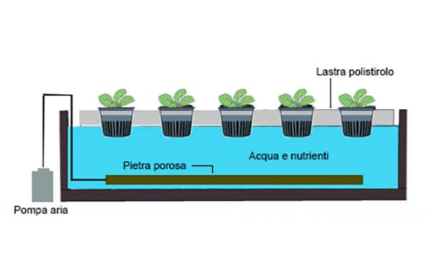 impianto-idroponico-faidate