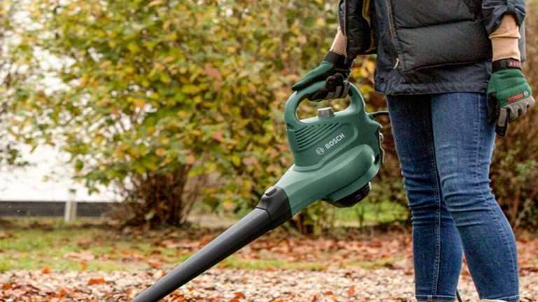 Bosch BH2: aspirare e raccogliere foglie non è mai stato così economico!