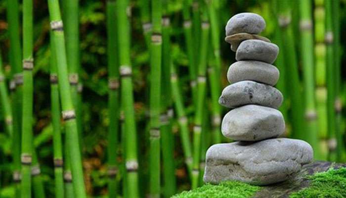 Cos'è un giardino giapponese o zen Cos'è un giardino giapponese o zen