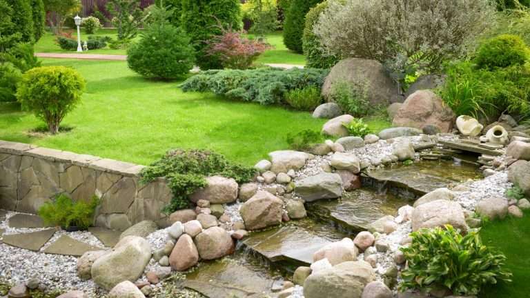 Giardino roccioso: fai da te o progettazione professionale