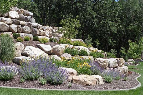 habitat giardino roccioso habitat giardino roccioso