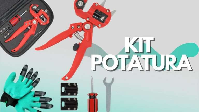 Kit potatura: forbici, guanti e utensili a meno di 20€