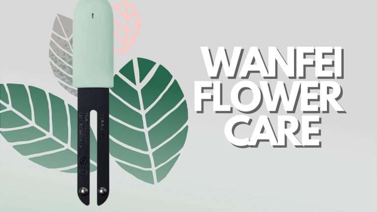 Wanfei Flower Care: il tuo alleato nel giardinaggio (offerta lampo)