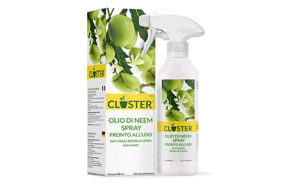 CLOSTER Olio di Neem per Piante CLOSTER Olio di Neem per Piante
