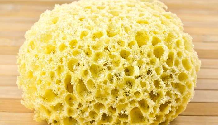 spugna naturale spugna naturale