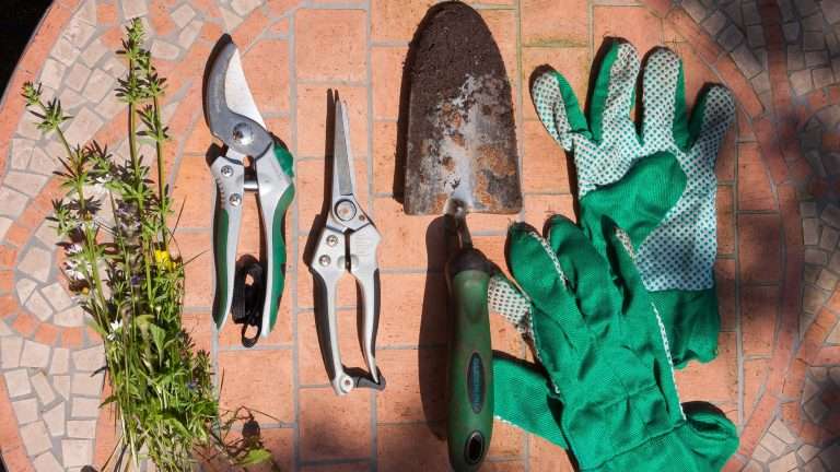Attrezzi da giardino professionali: elenco strumenti indispensabili per il giardinaggio