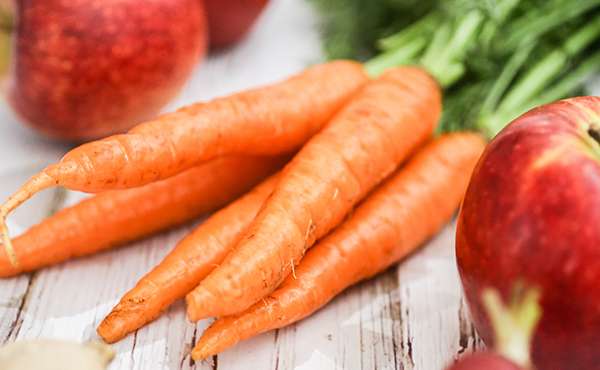 utilità del calendario della semina utilità del calendario della semina