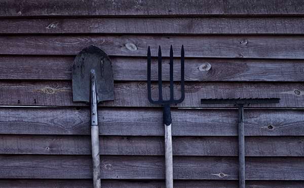 calendario della semina: mesi calendario della semina: mesi