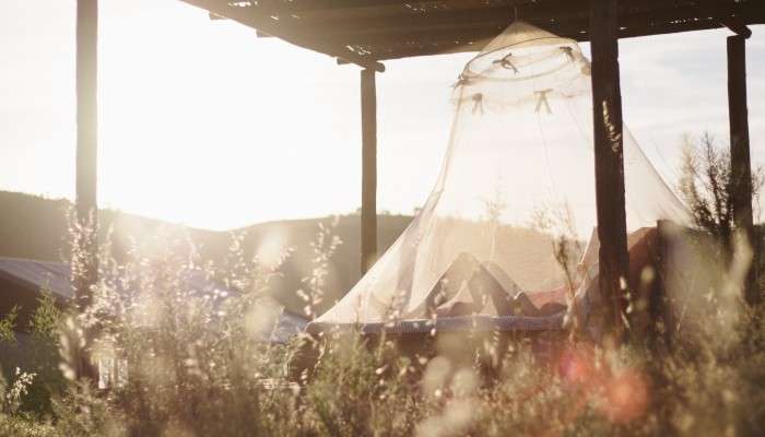 zanzariera zanzariera