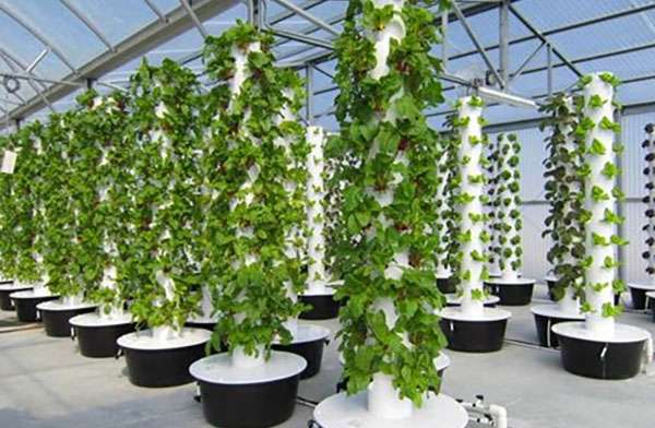 vertical hydroponic garden vertical hydroponic garden