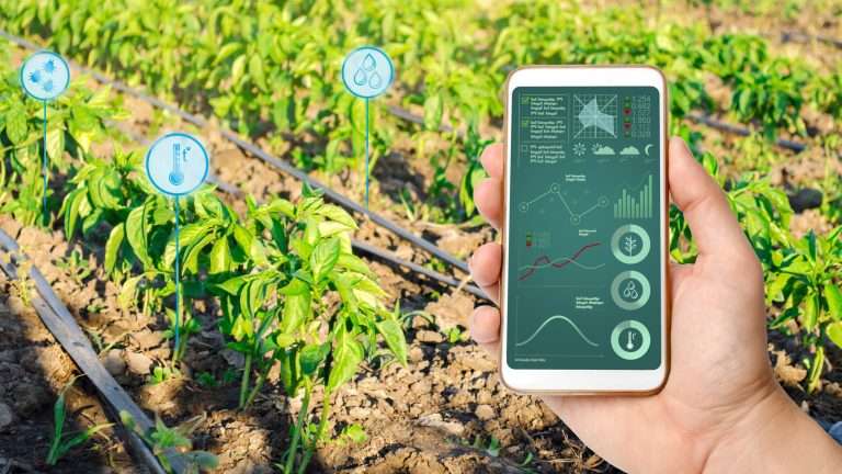 Migliore centralina da irrigazione WiFi 2022: quale scegliere