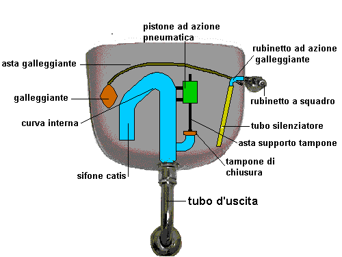 catis sciacquone nomenclatura catis sciacquone