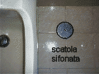 posizione scatola sifonata