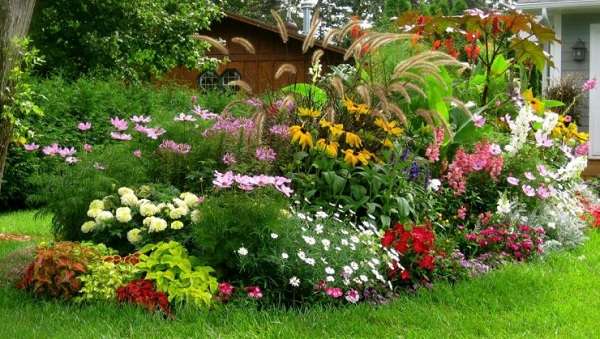 aiuola giardino composizione di fiori di un aiuola giardino