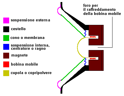 struttura di un altoparlante woofer nomenclatura